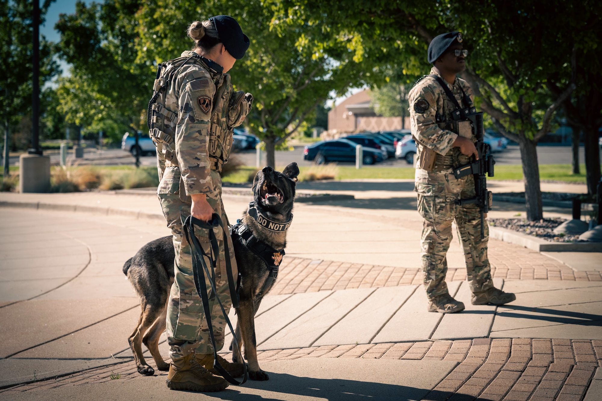 two military members stand with a dog