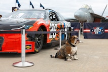 NASCAR Hosts Race on Naval Base Coronado