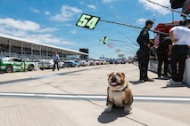 NASCAR Hosts Race on Naval Base Coronado