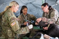 Operation Sentinel Justice combines real-world medical support, training to strengthen AR-MEDCOM, MRTC readiness