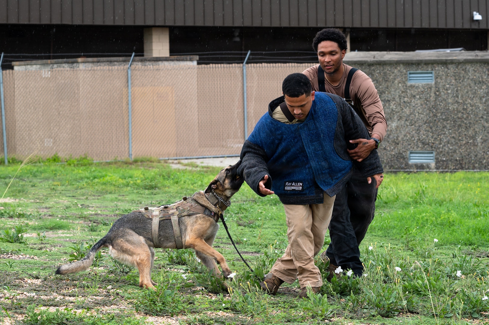 Air Force Academy cadets tour military working dog facility