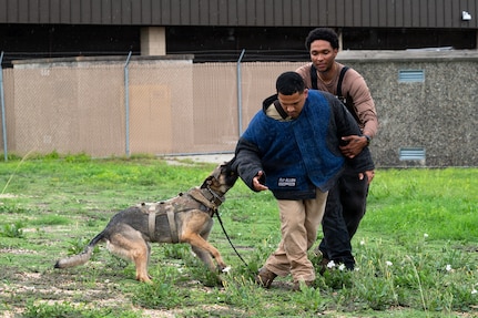 Air Force Academy cadets tour military working dog facility