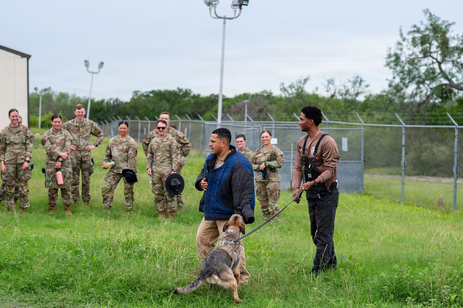 Air Force Academy cadets tour military working dog facility