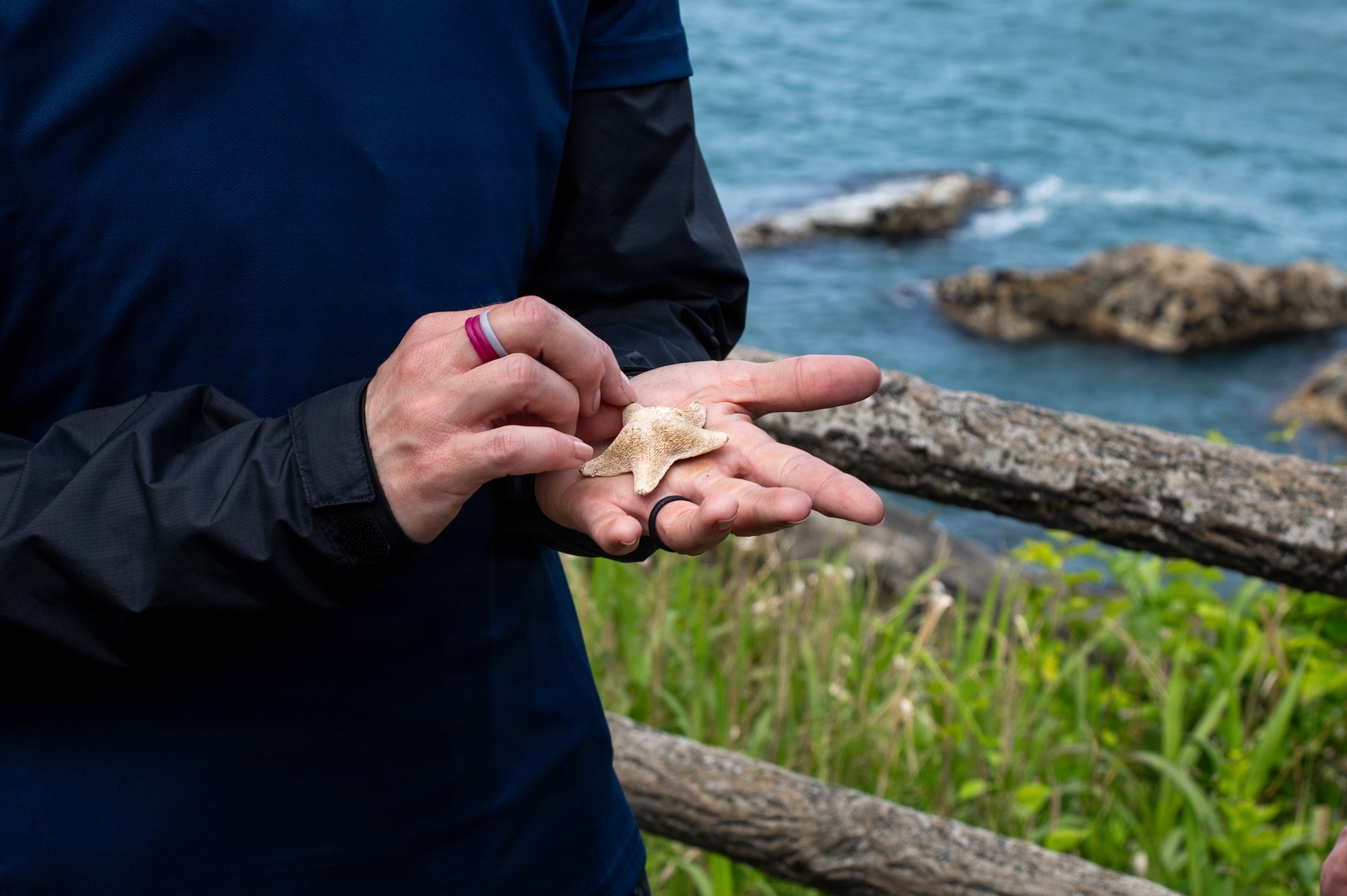 A participant of a “Friendship Hike” holds a starfish found near the shoreline trail along the Tanesashi Coast at Hachinohe, Japan, June 20, 2026.