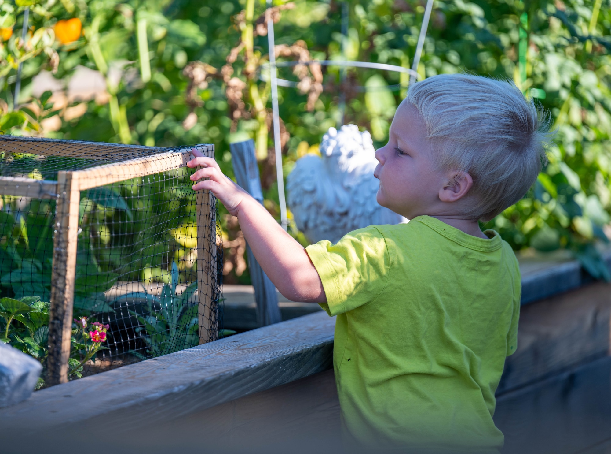 A child inspects a wire plant protector while participating in BioBlitz at Altus Air Force Base, Oklahoma, June 17, 2026. During BioBlitz, community members can become ‘citizen scientists’ and identify and document various insects, plants, and wildlife. (U.S. Air Force photo by Airman 1st Class Emma Wright)