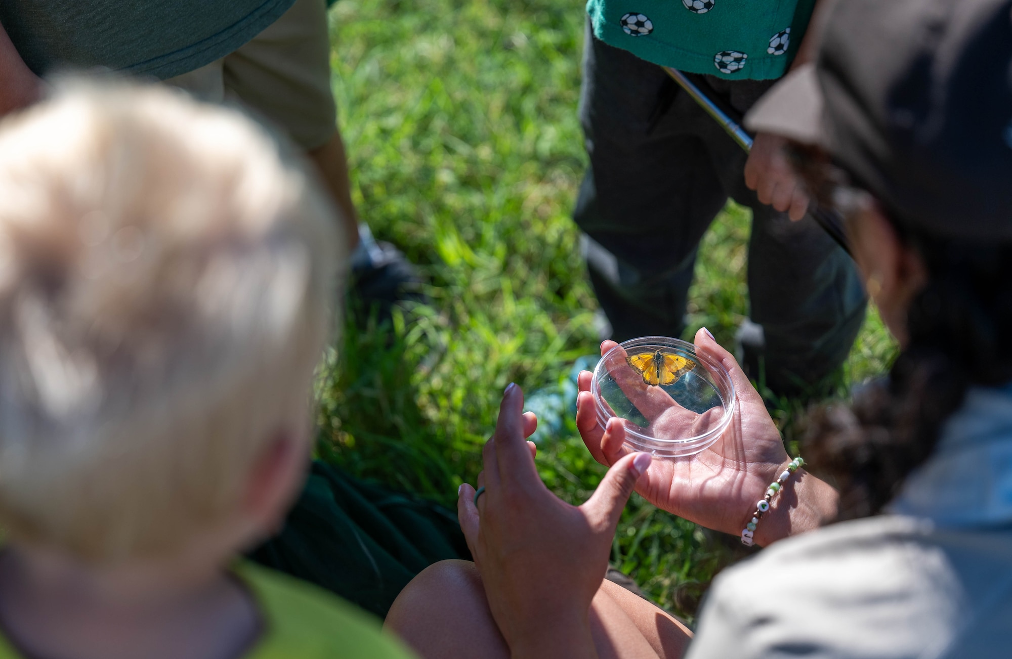 Children observe an Orange Sulphur, a type of butterfly, during BioBlitz at Altus Air Force Base, Oklahoma, June 17, 2026. Children were given insect observation containers to inspect and identify insects. (U.S. Air Force photo by Airman 1st Class Emma Wright)