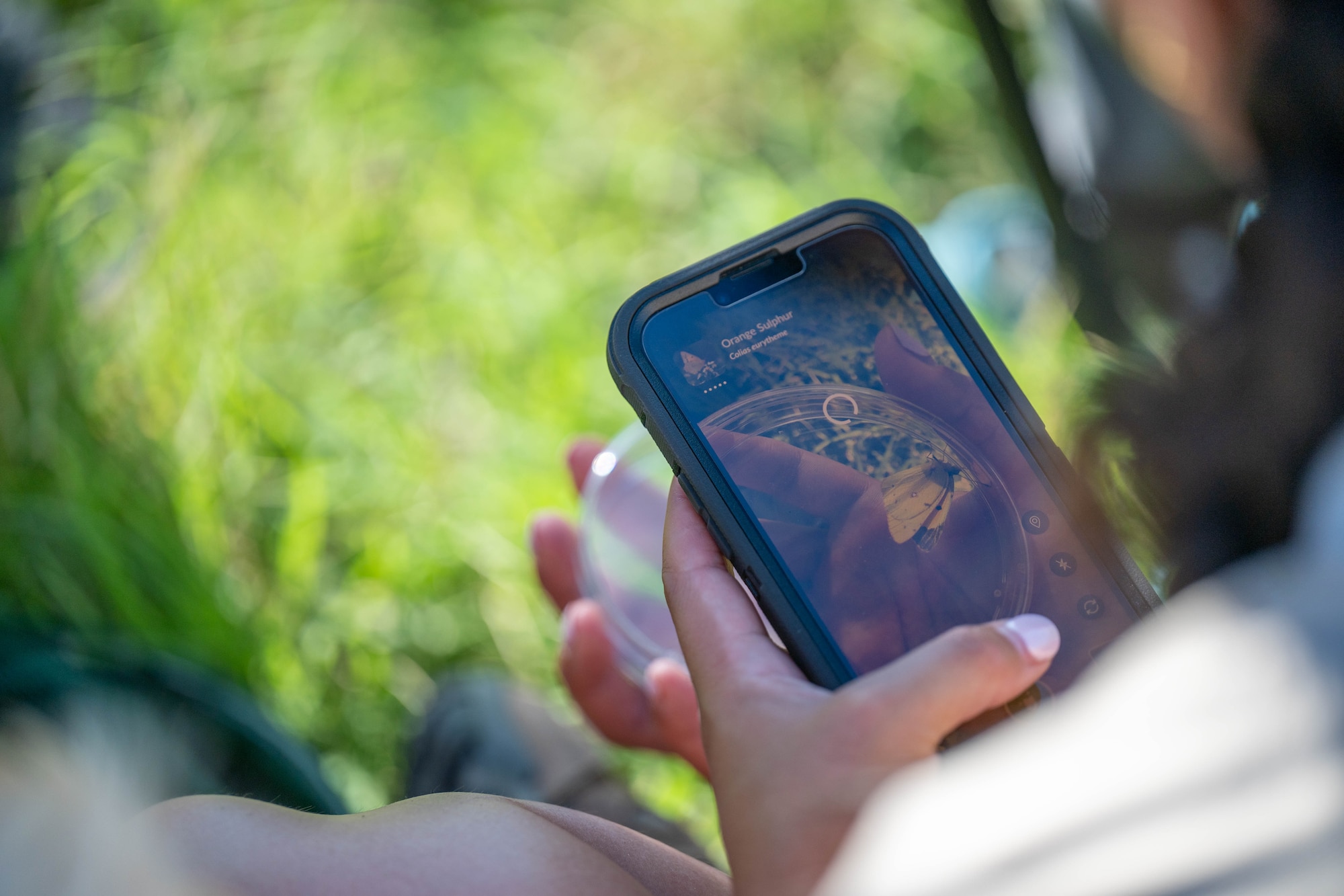 A U.S. Department of Interior Wildlife Biologist uses the app, iNaturalist, to identify the Orange Sulphur during BioBlitz at Altus Air Force Base, Oklahoma, June 17, 2026. The app allows individuals to take pictures of, identify, and document various insects, plants, and wildlife. (U.S. Air Force photo by Airman 1st Class Emma Wright)
