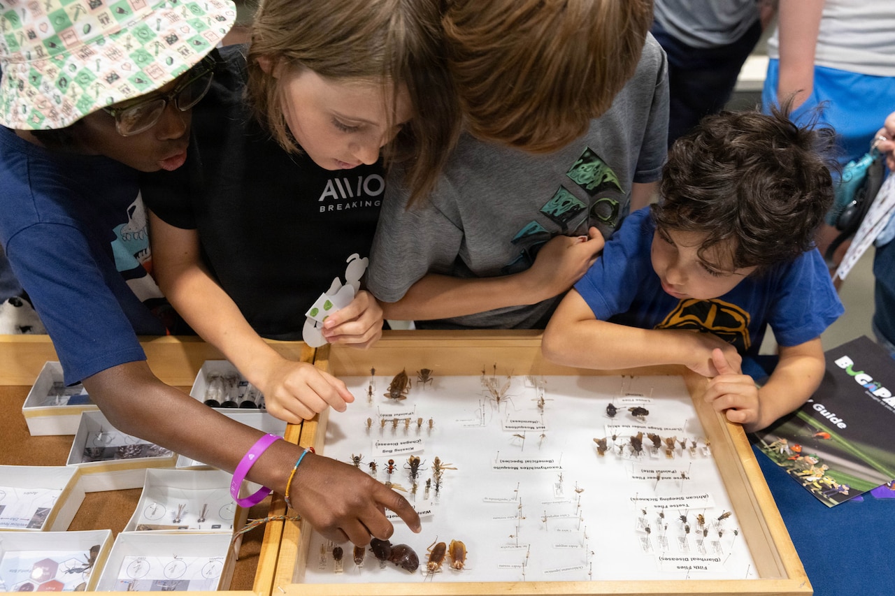 Four kids look at bugs inside a case on a table.