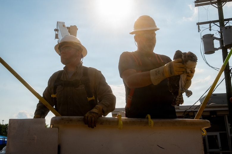 Brandon Robinson, left, and Russel Fink, both high voltage electricians, prepare to return Chesty to his mother’s nest during Operation Homeward Bound on Marine Corps Base Quantico, Virginia, June 29, 2026. Personnel aboard MCB Quantico collaborated during Operation Homeward Bound to rescue and reunite a juvenile osprey named “Chesty” with its mother after the young bird was discovered on the ground below it’s nest. (U.S. Marine Corps photo by Cpl. Joshua Munsen)