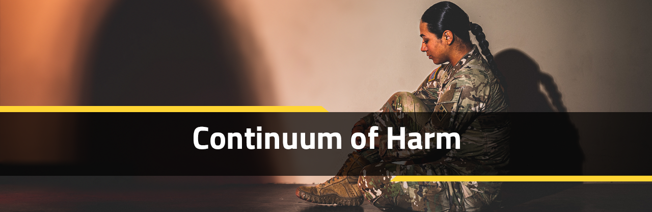 Continuum of Harm Banner