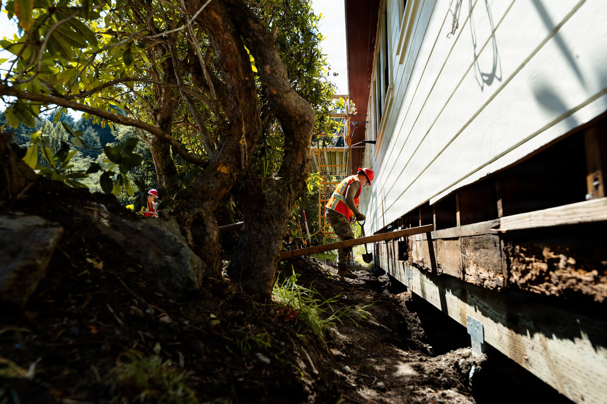 Redwoods Innovative Readiness Training Project
