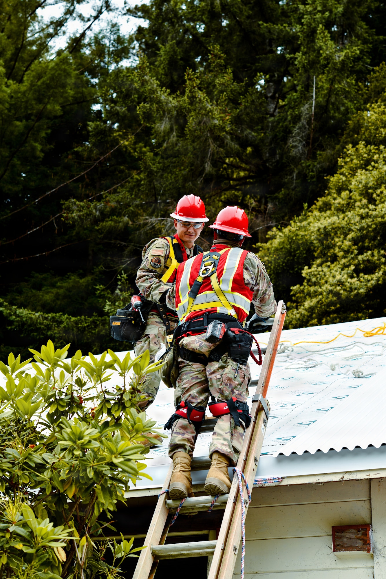 Redwoods Innovative Readiness Training Project