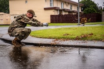 Typhoon response