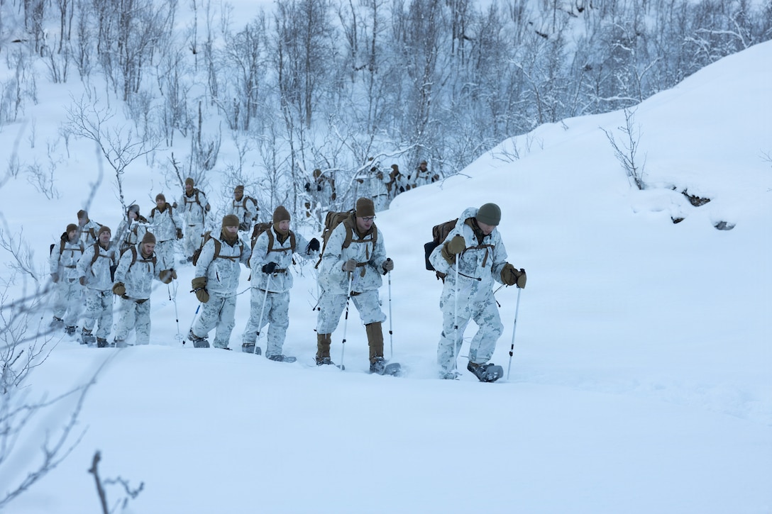 U.S. Marines and Sailors with 2nd Distribution Support Battalion, Combat Logistics Regiment 27, 2nd Marine Logistics Group, participate in a culminating hike during cold weather training in preparation for exercise Cold Response 26 in Elvegardsmoen, Norway, Feb. 23, 2026. The three-day training exercise taught Marines and Sailors how to survive and operate in extreme cold weather conditions, increasing their warfighter capabilities. A key component of NATO's enhanced vigilance activity Arctic Sentry, exercise Cold Response 26 is a Norwegian-led winter military exercise designed to enhance collective defense capabilities and ensure U.S. readiness to rapidly deploy and seamlessly operate alongside NATO Allies in challenging arctic conditions. (U.S. Marine Corps photo by Lance Cpl. Franco Lewis)