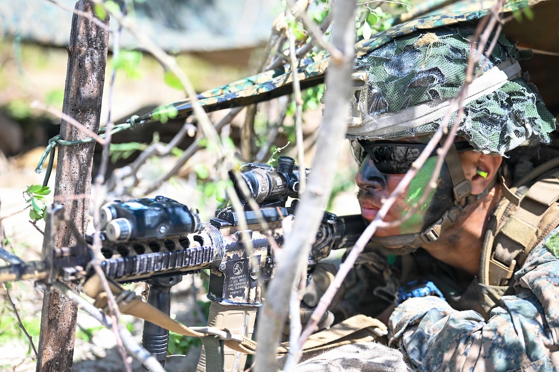 A Marine lying on the ground in camouflage aims a weapon surrounded by tree branches.