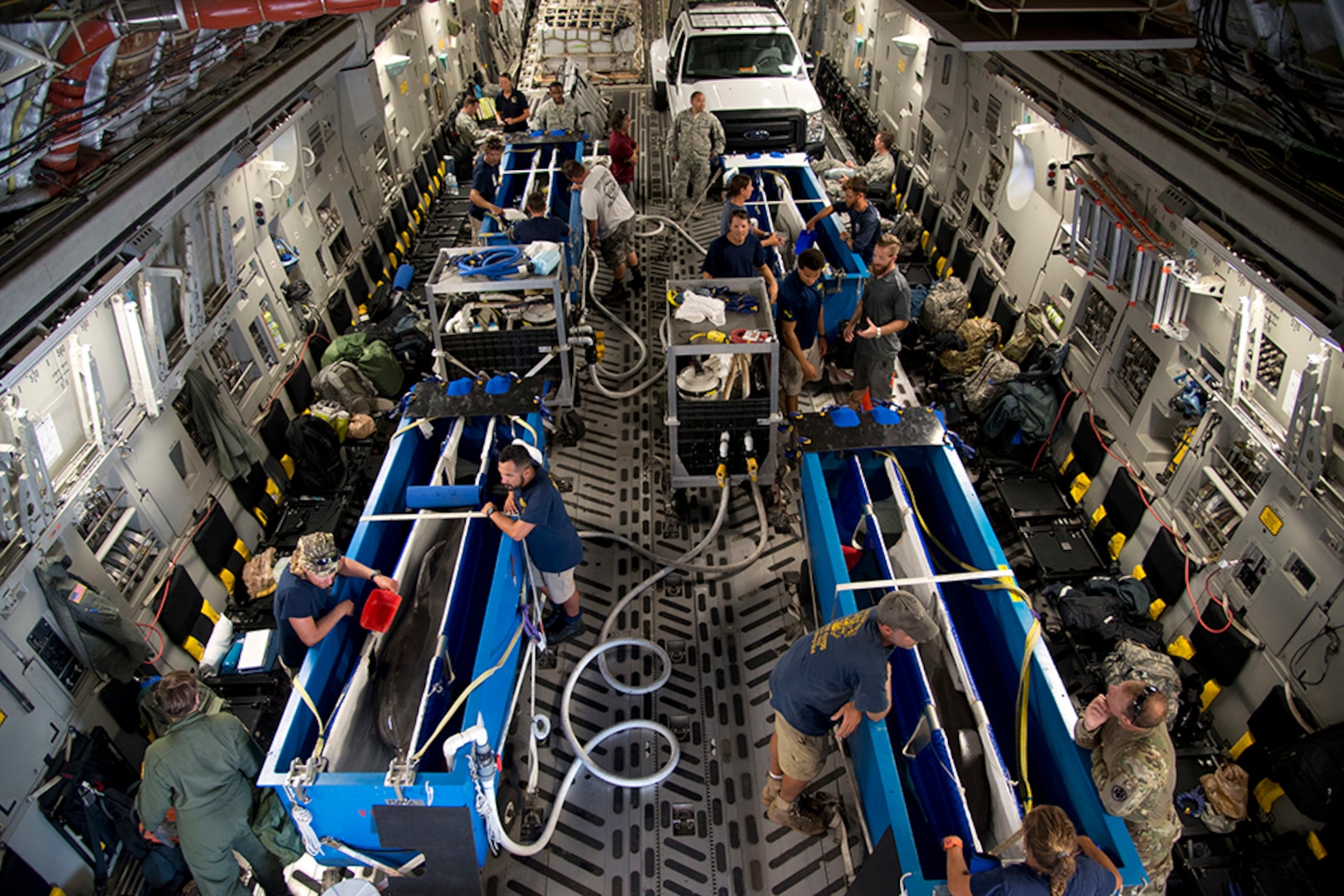 U.S. Navy Marine Mammal Program dolphin trainers tend to their dolphins before a flight from Naval Air Station Key West, Fla., to NMMP in San Diego