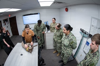 Army Capt. Emily Spink, DVM, center in orange scrubs, instructs Sailors from Navy Medicine Readiness and Training Command Cherry Point, right, on how to evaluate a canine for injury at the MCAS Cherry Point Veterinarian Clinic, Feb. 26, 2026. The training taught the Corpsmen the basics of Canine Tactical Combat Casualty Care for Military Working Dogs.