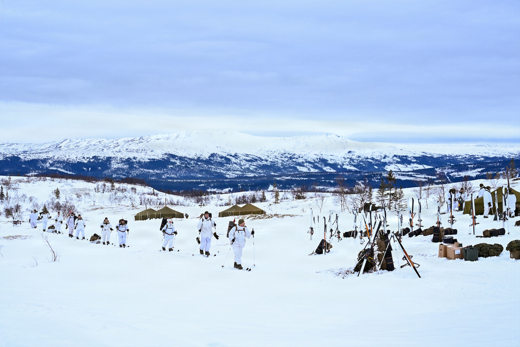 Soldiers and Airmen from the Minnesota National Guard complete a ski march during the 53rd Norwegian Reciprocal Troop Exchange near Haltdalen, Norway, Feb. 9, 2026. NOREX is an annual exchange that strengthens ties between the Minnesota National Guard and the Norwegian Home Guard as part of the Department of War National Guard Bureau State Partnership Program. It remains the longest-running military exchange between the United States and a foreign nation. (U.S. Air National Guard photo by Master Sgt. Megan Shaner)