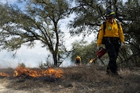 prescribed burns