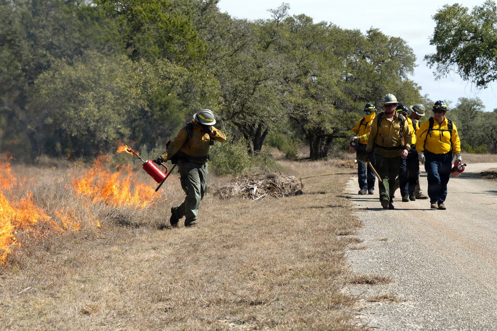 Prescribed burns