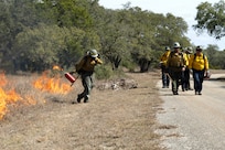 Prescribed burns
