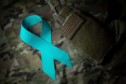 Mosaic navigation images