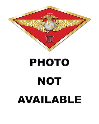 Portrait of Lieutenant Colonel Kyle J. McHugh