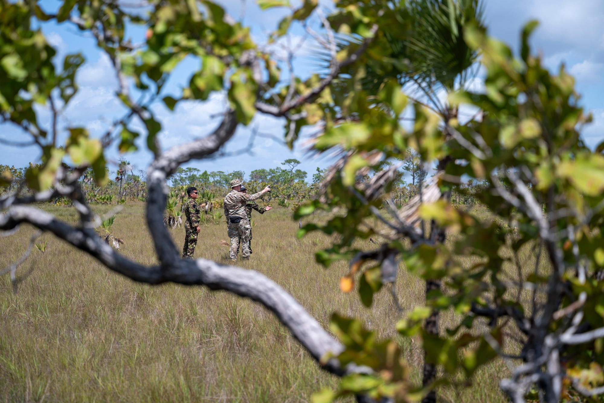 Men survey a field