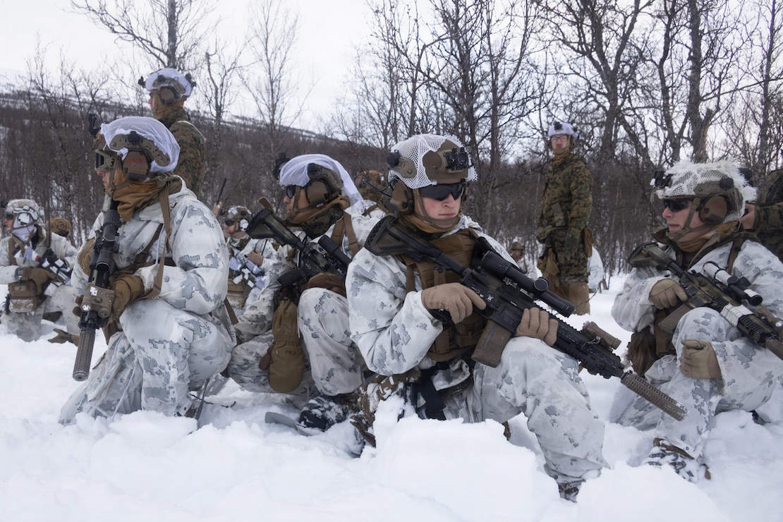 U.S. Marines with 2nd Battalion, 6th Marine Regiment, 2nd Marine Division, prepare to engage notional targets during dry-fire and maneuver training in Setermoen, Norway, Feb. 28, 2026.