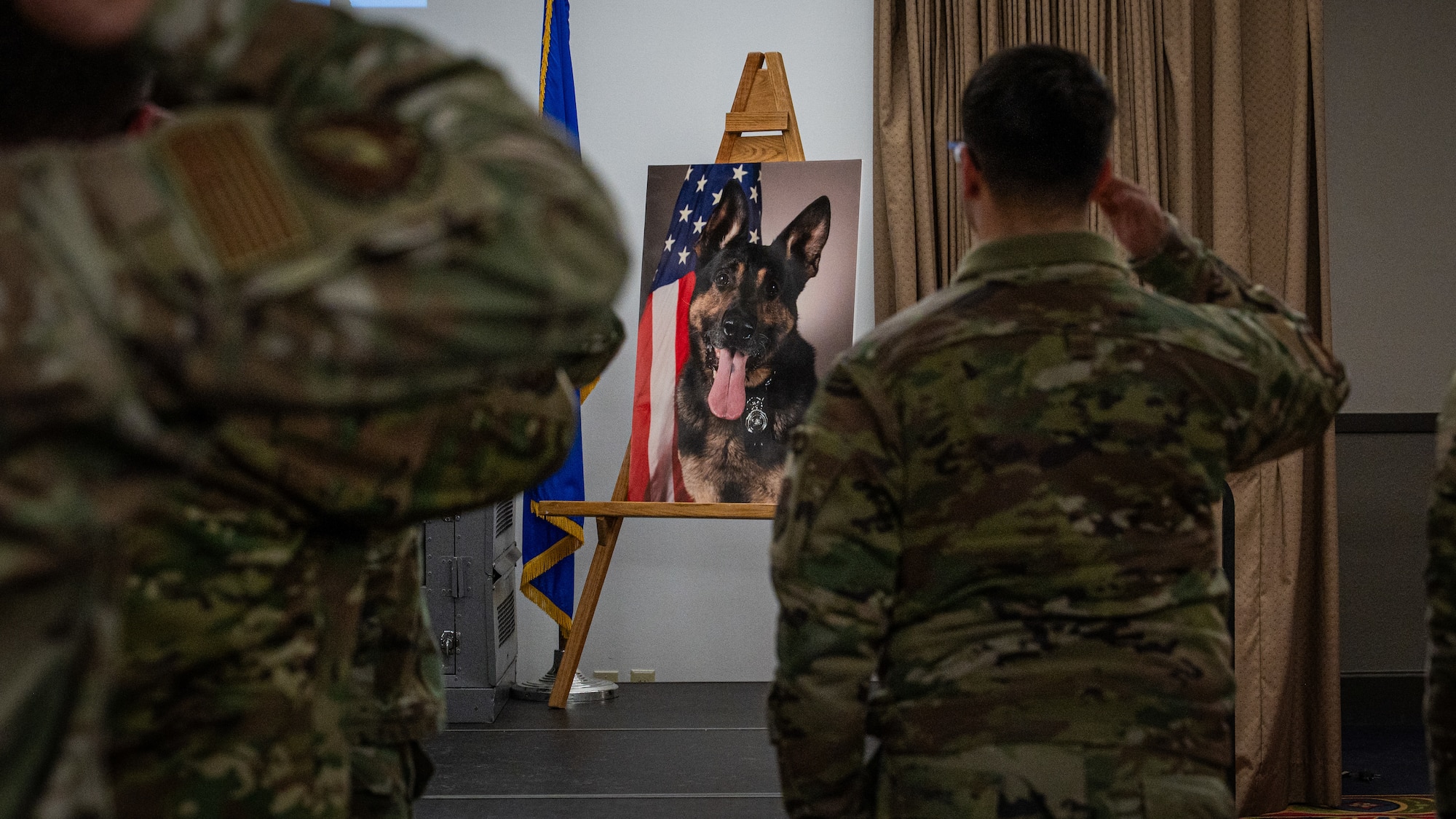 A photo of people saluting to a picture of a military working dog on a stage.