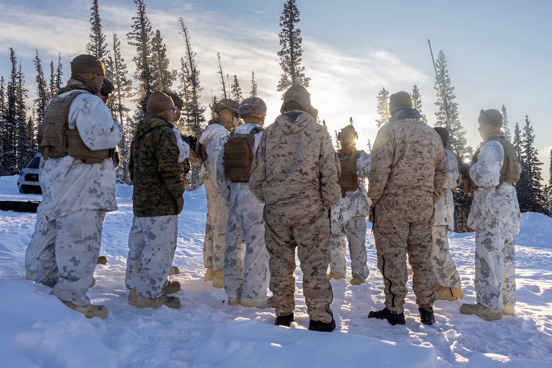 US Marines conduct OP6 Stinger live-fire exercise during ARCTIC EDGE 2026