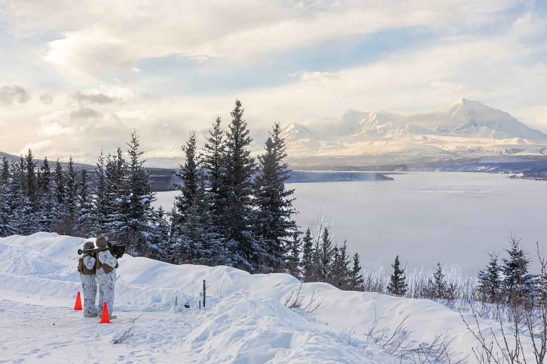 US Marines conduct OP6 Stinger live-fire exercise during ARCTIC EDGE 2026