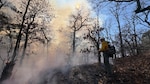 Oklahoma National Guard wildland firefighters conduct fire fighting operations near Talihina, Oklahoma, Feb. 26, 2026. Two eight-Guardsmen crews have been deployed to support the Oklahoma Department of Emergency Management, Oklahoma Department of Agriculture, Oklahoma Department of Public Safety and Oklahoma Forestry Services battle wild fires in the state. The Oklahoma National Guard Wildland Firefighting Program has more than 80 red-card certified Guardsmen trained to support federal, state and local agencies in combating fires. (photo provided by OKNG Wildland Firefighting Program)