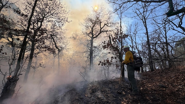 Oklahoma National Guard wildland firefighters conduct fire fighting operations near Talihina, Oklahoma, Feb. 26, 2026. Two eight-Guardsmen crews have been deployed to support the Oklahoma Department of Emergency Management, Oklahoma Department of Agriculture, Oklahoma Department of Public Safety and Oklahoma Forestry Services battle wild fires in the state. The Oklahoma National Guard Wildland Firefighting Program has more than 80 red-card certified Guardsmen trained to support federal, state and local agencies in combating fires. (photo provided by OKNG Wildland Firefighting Program)