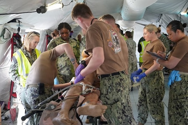 Medical personnel with Expeditionary Medical Facility Kilo, based out of Navy Medicine Readiness and Training Command Camp Lejeune, North Carolina, assess a simulated patient for injuries in the casualty receiving area during an EMF training at the Naval Expeditionary Medicine Warfighter Development Center, Camp Pendleton, California, Feb. 9–18, 2026. The scenario reinforces patient assessment, triage, and immediate care procedures in a field medical environment. (U.S. Navy photo by Petty Officer 2nd Class Leandra Mojica)