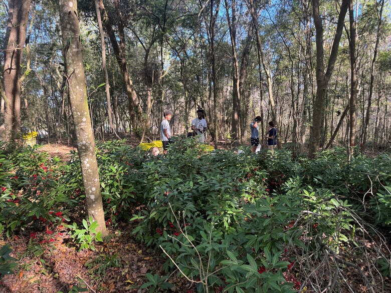 Volunteers work to remove the invasive coral ardisia from the nature areas around the University of North Florida. Left uncontrolled, invasive plants, like the coral ardisia overcrowd and smother native plants and not allowing them to thrive in their native habitat. (U.S. Army Corps of Engineers photo by Jessica Spencer, Biologist)