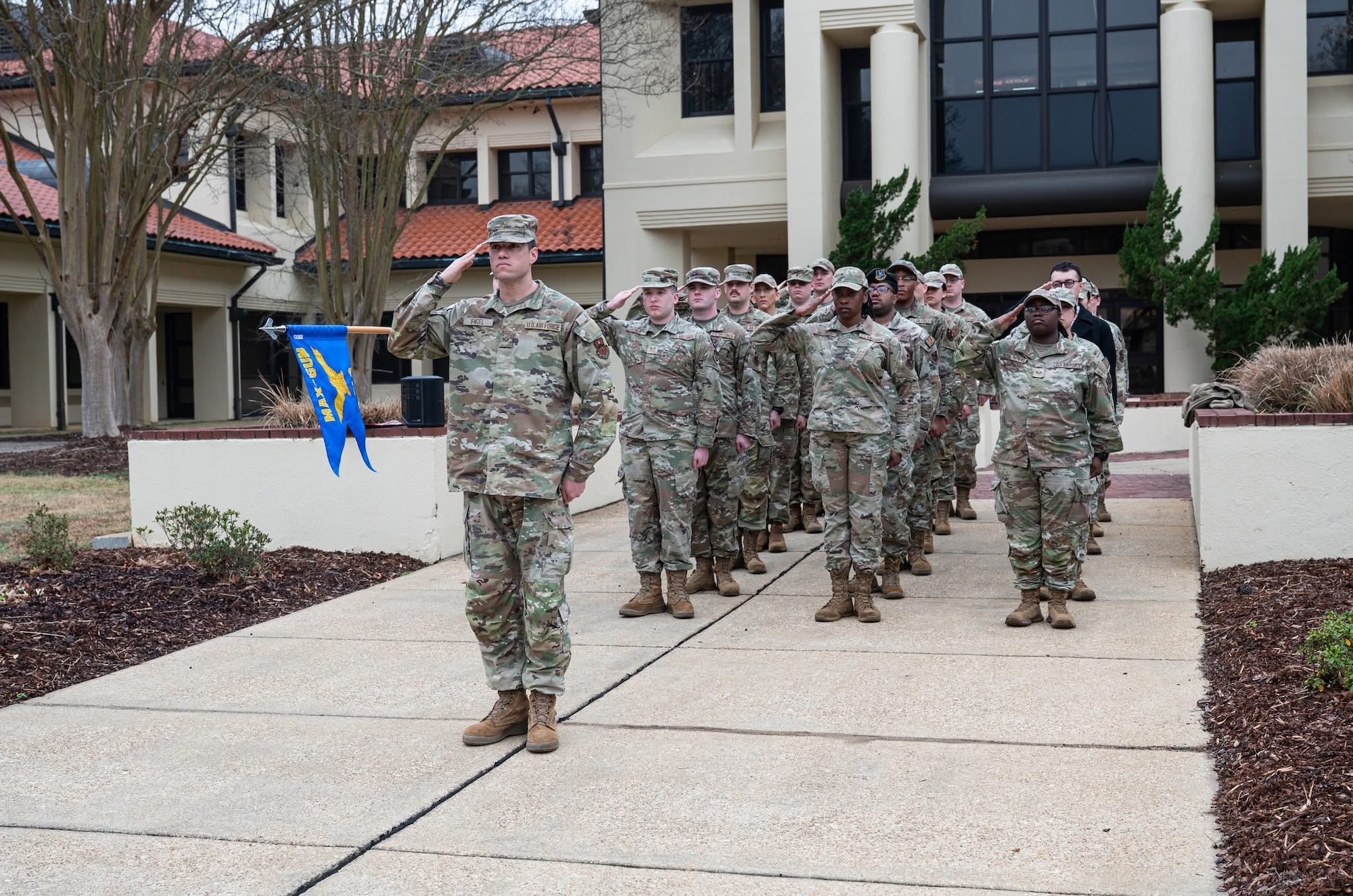 saluting military members stand in formation