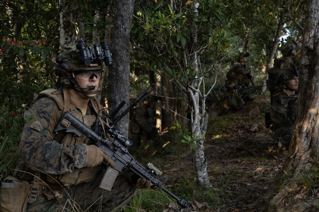 U.S. Marines with Lima Company, Battalion Landing Team 3rd Battalion, 1st Marine Regiment, 31st Marine Expeditionary Unit, prepare to raid a simulated enemy force as a part of Iron Fist 26 at Landing Zone Dodo, Camp Hansen, Okinawa, Japan, March 6, 2026. T