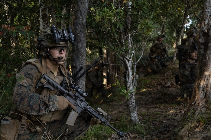 U.S. Marines with Lima Company, Battalion Landing Team 3rd Battalion, 1st Marine Regiment, 31st Marine Expeditionary Unit, prepare to raid a simulated enemy force as a part of Iron Fist 26 at Landing Zone Dodo, Camp Hansen, Okinawa, Japan, March 6, 2026. T