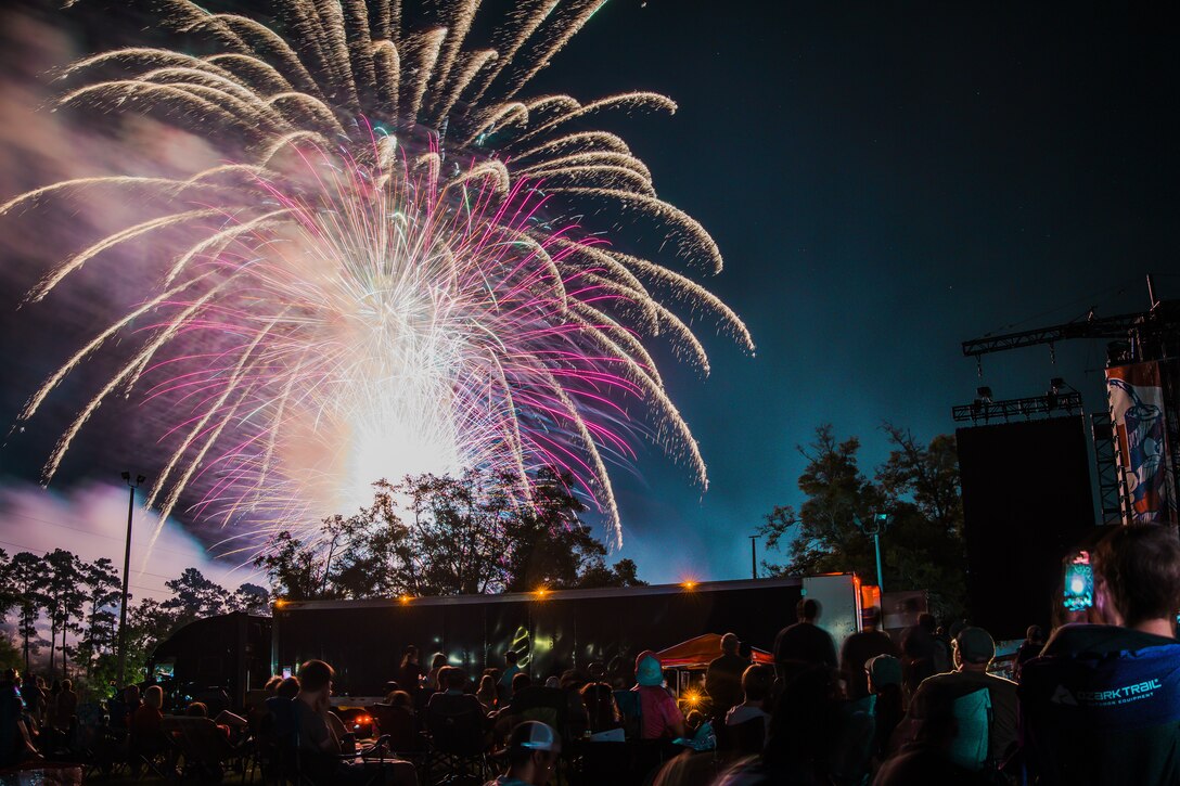 Fireworks light up the sky as people sit in the foreground watching them.