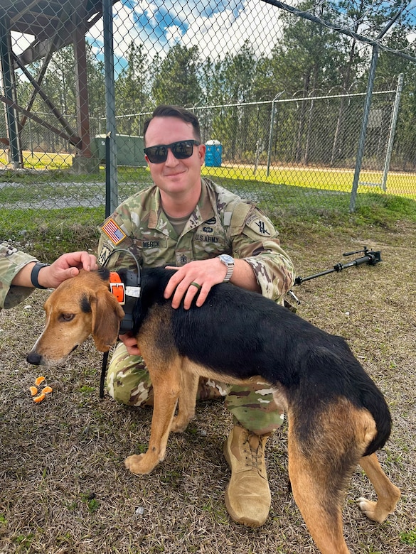 Army Reserve Soldiers save dog at Sentry South 26-2