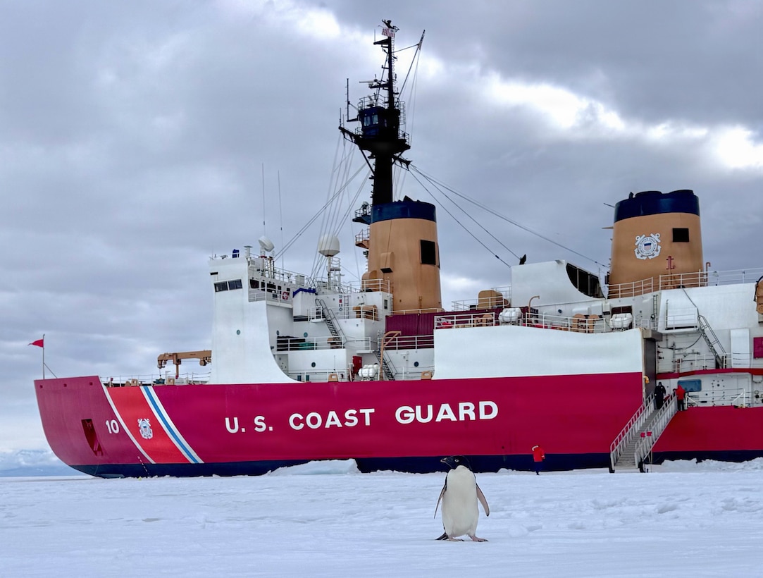 A penguin wanders alongside the USCGC Polar Star (WAGB 10) as the cutter sits hove-to in the Ross Sea following an Antarctica Service Medal ceremony for Operation Deep Freeze 2026, Jan. 22, 2026. Pacific Air Forces operates on a 24-hour basis to provide the U.S. National Science Foundation complete joint operational and logistic support for Operation Deep Freeze. (U.S. Coast Guard photo by Petty Officer 2nd Class Christopher Bokum)
