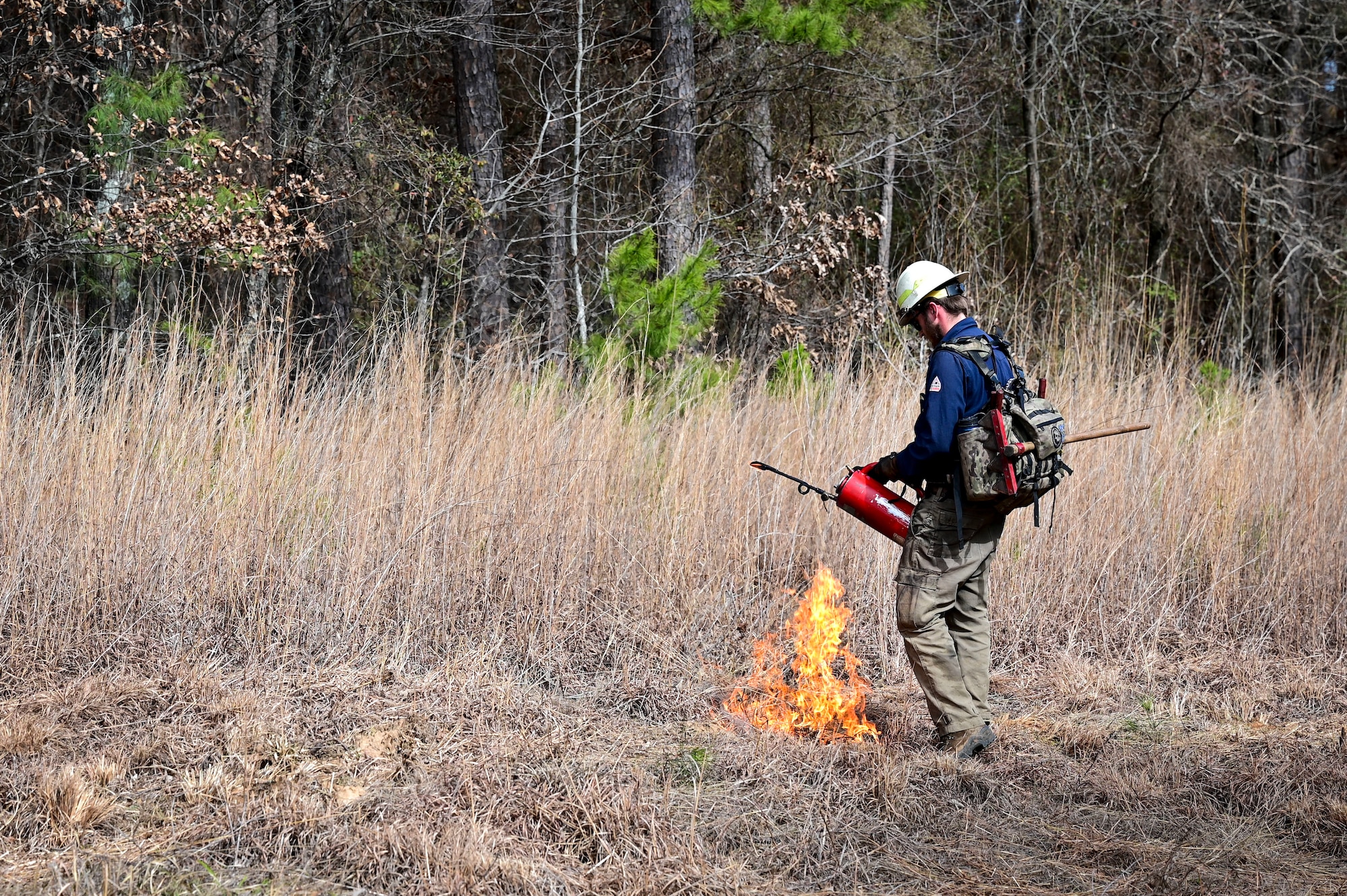 A wildlife service fire fighter ignites vegetation during a prescribed burn.