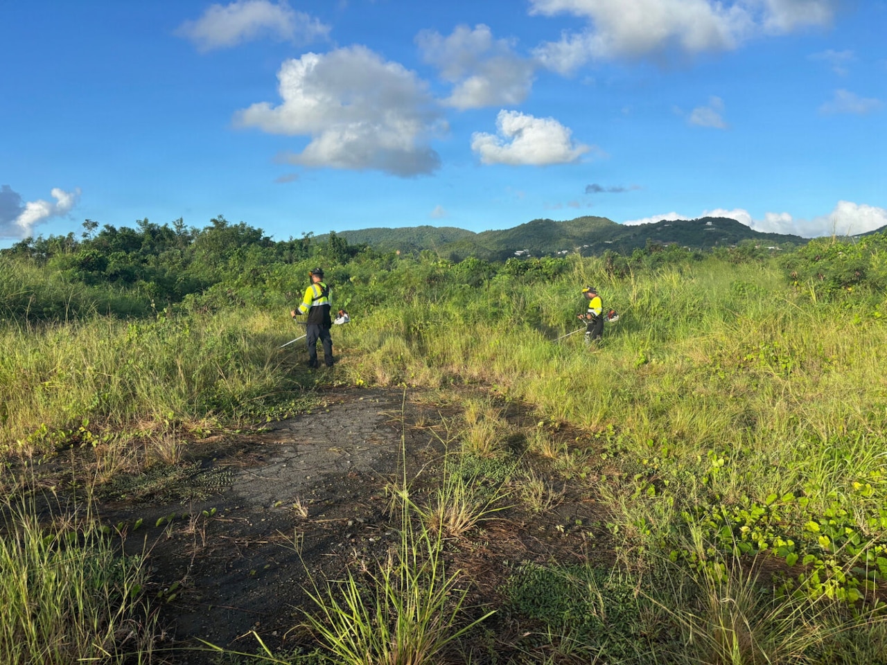 Two men, holding vegetation clearing machinery, stand in an overgrown field.