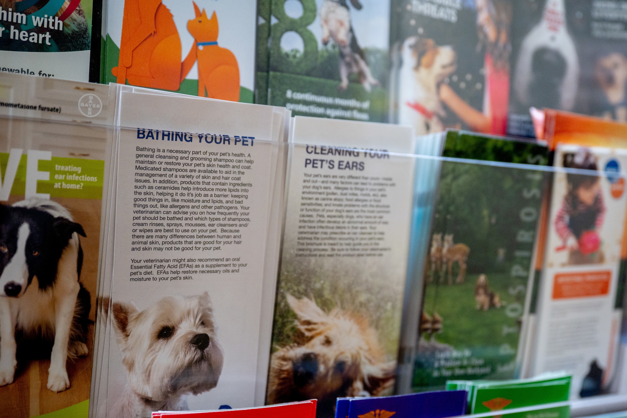 An assortment of brochures sits in a clear mounted holder on a wall at Maxwell Air Force Base.