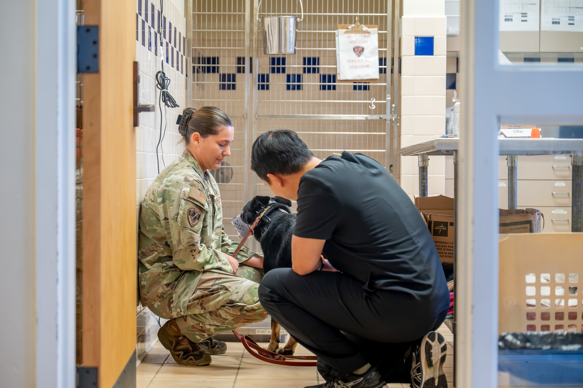 Maxwell Air Force Base military working dog handler accompanies their military working dog during a veterinary appointment.