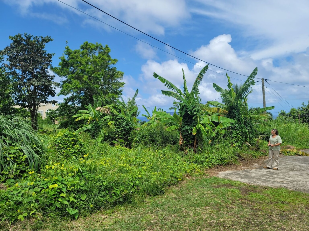 A woman dressed in loose casual clothes stands on a concrete pad as she looks at an overgrown field.