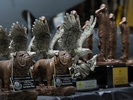 A display of various trophies given to the winners for the 5th annual Knucklebuster Awards ceremony.