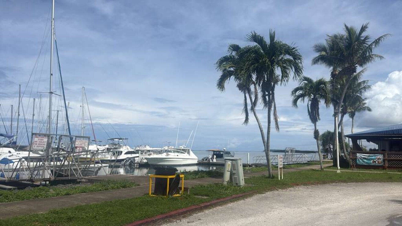 Sail boats docked in a small boat harbor with green grass in fornt.