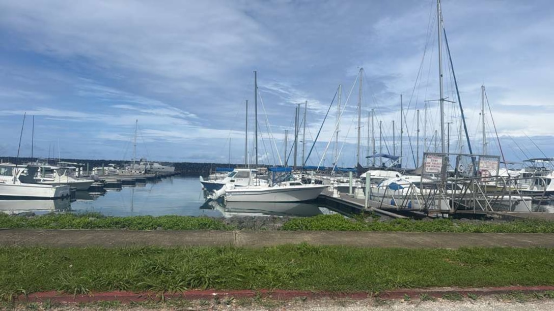 Sail boats docked in a small boat harbor with green grass in fornt.
